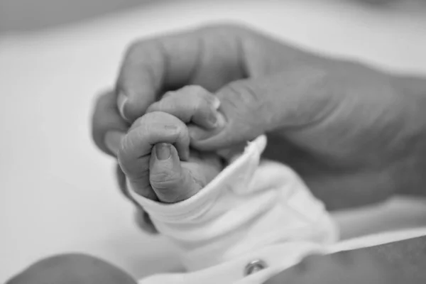 Mano Del Bebé Recién Nacido Madre Padre Sosteniendo Brazo Del —  Fotos de Stock