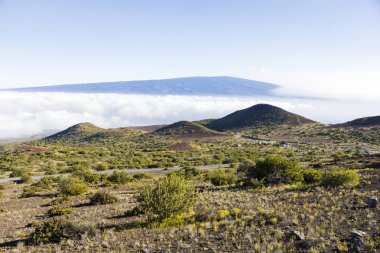 Hawaii büyük ada üzerinde nefes kesen manzarası Mauna Loa yanardağ. Mauna Loa dünya üzerindeki en büyük yanardağ en büyük subaerial yanardağ kütlesi ve hacmi olarak kabul.