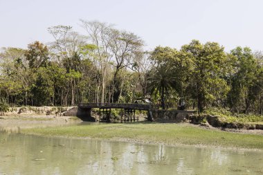 Bangladeş'te bir riverside adlı bir köprü ile tropikal bitki örtüsü ile manzara