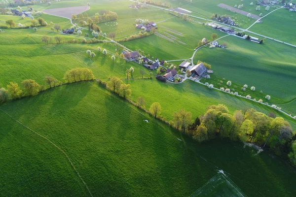 Primavera Nella Svizzera Centrale Con Una Fila Alberi Alla Luce — Foto Stock