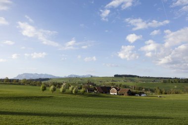Orta İsviçre Nottwil yakınındaki bir güneşli bahar gününde grupta. Mount Pilatus arka planda