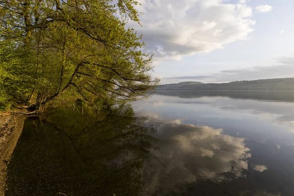 Wunderbare Morgenstimmung Empachsee Der Schweiz Bäume Und Wolken Spiegeln Sich — Stockfoto