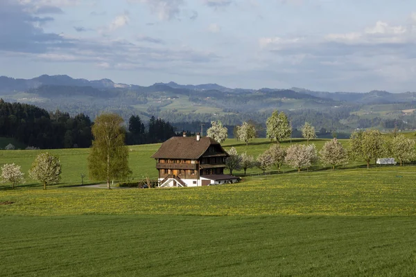 Typisk Luzern Bondgård Ett Fantastiskt Landskap Centrala Schweiz Solig Vårdag — Stockfoto