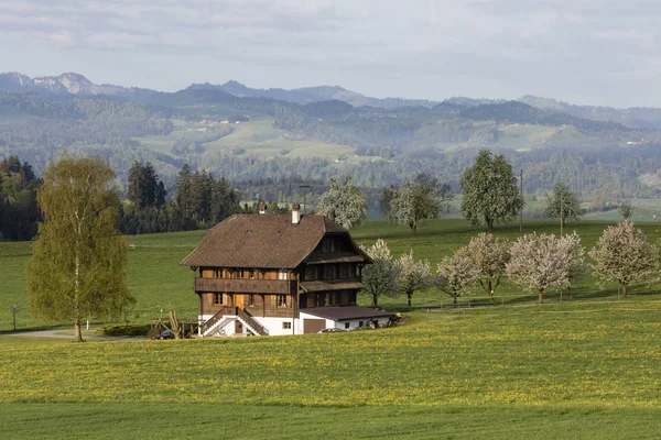 Typisk Luzern Bondgård Ett Fantastiskt Landskap Centrala Schweiz Solig Vårdag — Stockfoto