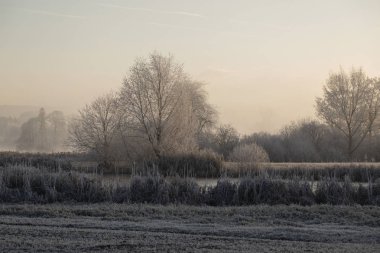 Ağaçları ile hoarfrost bir buz soğuk kış sabahı ve donmuş gölde ön planda Orta İsviçre