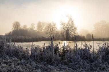 Ağaçları ile hoarfrost bir buz soğuk kış sabahı ve donmuş gölde ön planda Orta İsviçre