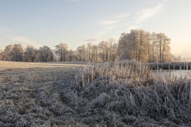 Ağaçları ile hoarfrost bir buz soğuk kış sabahı ve donmuş gölde ön planda Orta İsviçre
