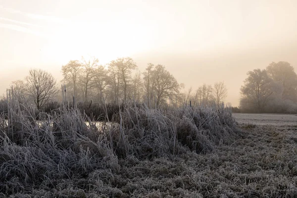 Ağaçları ile hoarfrost bir buz soğuk kış sabahı ve donmuş gölde ön planda Orta İsviçre