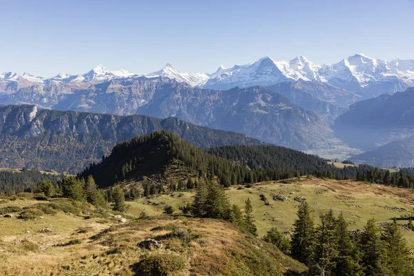 Jesienne Alpejski Krajobraz Niederhorn Oberlandzie Berneńskim Szwajcarii Eiger Moench Jungfrau — Zdjęcie stockowe