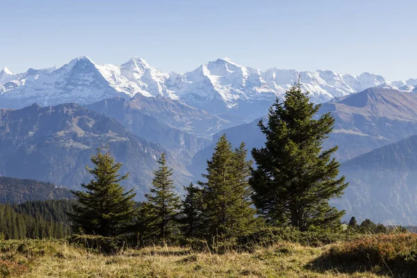 Jesienne Alpejski Krajobraz Niederhorn Oberlandzie Berneńskim Szwajcarii Eiger Moench Jungfrau — Zdjęcie stockowe