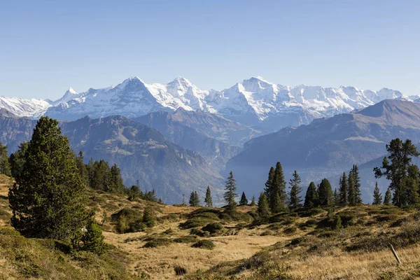 Jesienne Alpejski Krajobraz Niederhorn Oberlandzie Berneńskim Szwajcarii Eiger Moench Jungfrau — Zdjęcie stockowe