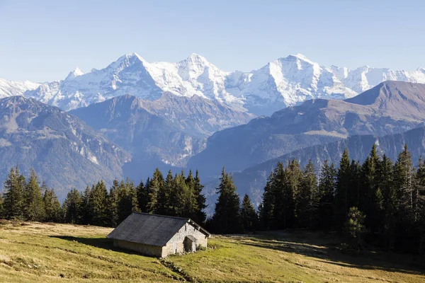 Paisaje Alpino Otoñal Con Una Cabaña Niederhorn Oberland Bernés Suiza — Foto de Stock