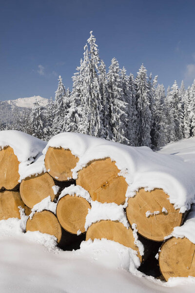 Snow-covered logs on a beautiful winter day in Switzerland