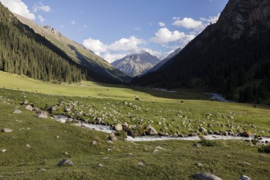 Vadi, altun-Arashan geç öğleden sonra Kırgızistan'ön planda bir dere ile