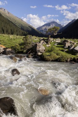 Vadi, altun-Arashan geç öğleden sonra Kırgızistan'ön planda bir dere ile