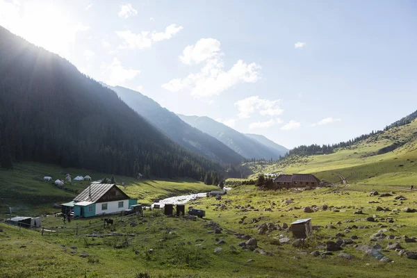 Altyn Arashan Kirghizistan Août 2018 Camps Yourtes Dans Vallée Altyn — Photo
