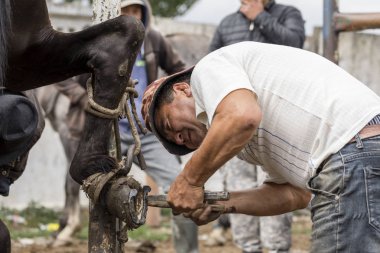 Karakol, Kırgızistan, 13 Ağustos 2018: At nal nalbant Karakol haftalık hayvan piyasada değiştirir