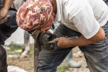 Karakol, Kırgızistan, 13 Ağustos 2018: At nal nalbant Karakol haftalık hayvan piyasada değiştirir