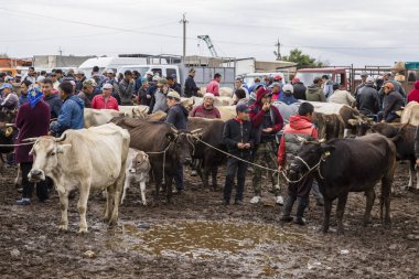 Karakol, Kırgızistan, 13 Ağustos 2018: Haftalık Pazar hayvan pazarı Karakol City Gölü Issyk-Kul Kırgızistan'daki doğu ucuna yakın. Orta Asya'daki en büyük hayvan pazarlarından biri.