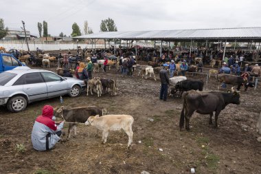 Karakol, Kırgızistan, 13 Ağustos 2018: Haftalık Pazar hayvan pazarı Karakol City Gölü Issyk-Kul Kırgızistan'daki doğu ucuna yakın. Orta Asya'daki en büyük hayvan pazarlarından biri.
