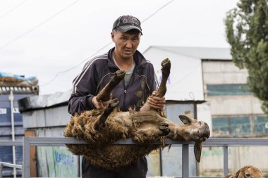 Karakol, Kırgızistan, 13 Ağustos 2018: Haftalık Pazar hayvan pazarı Karakol City Gölü Issyk-Kul Kırgızistan'daki doğu ucuna yakın. Orta Asya'daki en büyük hayvan pazarlarından biri.