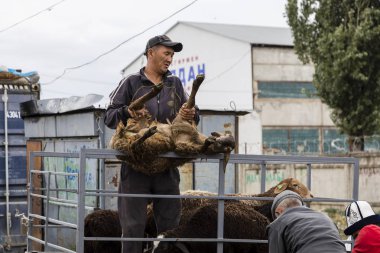 Karakol, Kırgızistan, 13 Ağustos 2018: Haftalık Pazar hayvan pazarı Karakol City Gölü Issyk-Kul Kırgızistan'daki doğu ucuna yakın. Orta Asya'daki en büyük hayvan pazarlarından biri.