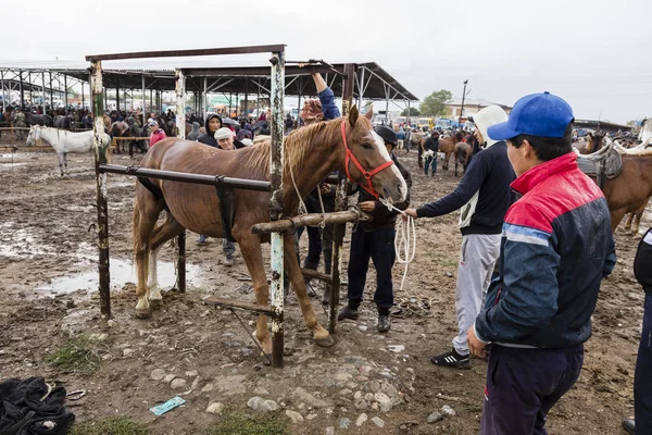 Karakol Kirgistán Srpen 2018 Podkovář Trhu Týdenní Zvířat Karakol Změní — Stock fotografie