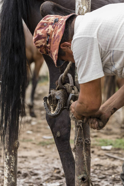Каракол, Кыргызстан, 13 августа 2018 года: Farrier на еженедельном рынке животных в Караколе меняет подковы лошадей
