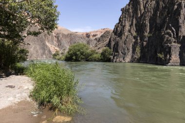 Çarın nehir Çarın Kanyonu içinde akar ve verimli kıyı suları ile sağlar. Kanyon kaleler Vadisi olarak da adlandırılır ve Kazakistan'ın Almatı doğusunda yer alır.