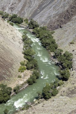 Çarın nehir Çarın Kanyonu içinde akar ve verimli kıyı suları ile sağlar. Kanyon kaleler Vadisi olarak da adlandırılır ve Kazakistan'ın Almatı doğusunda yer alır.