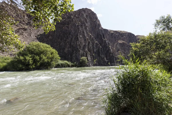 Çarın nehir Çarın Kanyonu içinde akar ve verimli kıyı suları ile sağlar. Kanyon kaleler Vadisi olarak da adlandırılır ve Kazakistan'ın Almatı doğusunda yer alır.