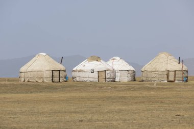 Şarkı Kul Gölü Kırgızistan'daki kampta geleneksel Yurt