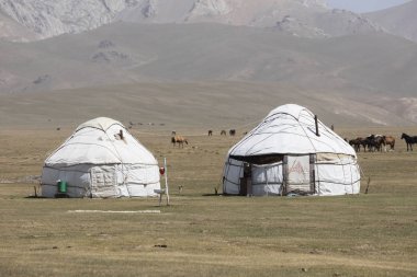 Şarkı Kul Gölü Kırgızistan'daki kampta geleneksel Yurt