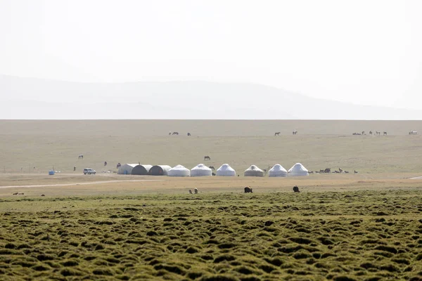 Jurta Tábor Dal Kul Kirgizisztánban — Stock Fotó