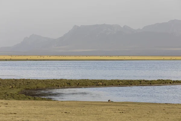 Chanson Lac Kul Kirghizistan Dans Lumière Soir Magique — Photo