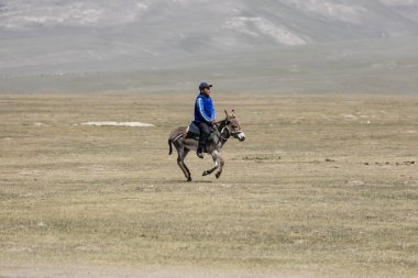 Şarkı Kul, Kırgızistan, 8 Ağustos 2018: Çocuk bir Yurt kampa Kırgızistan'şarkı Kul gölde bir eşek rides