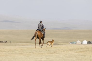 Şarkı Kul, Kırgızistan, 8 Ağustos 2018: A Kırgız Kırgızistan'şarkı Kul gölde bir Yurt kampa onun ata biniyor