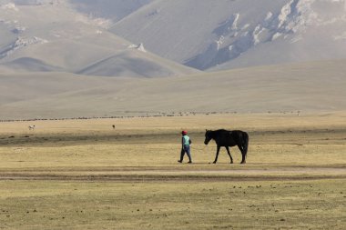 Şarkı Kul, Kırgızistan, 8 Ağustos 2018: A boy şarkı Kul Gölü Kırgızistan'daki bozkır aracılığıyla tasmalı bir at açar