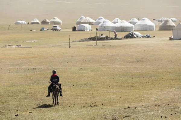 Song Kul Kirghizistan Août 2018 Enfant Conduit Âne Camp Yourtes — Photo