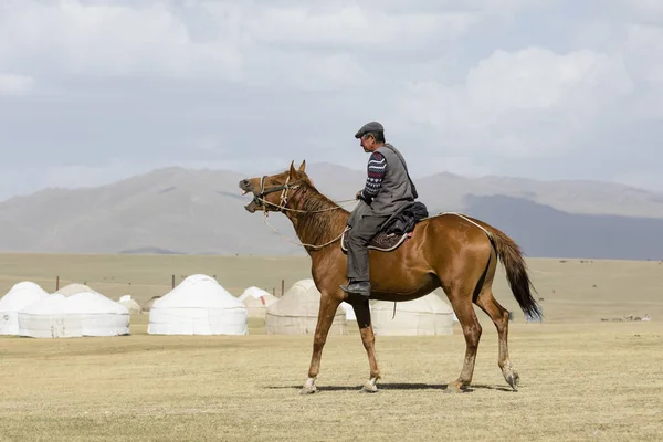 Song Kul Kyrgyzstán Srpen 2018 Kyrgyzština Jezdí Koni Který Pískal — Stock fotografie