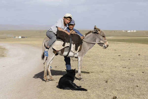 Song Kul Kyrgyzstán Srpen 2018 Dva Chlapce Osla Jezera Song — Stock fotografie