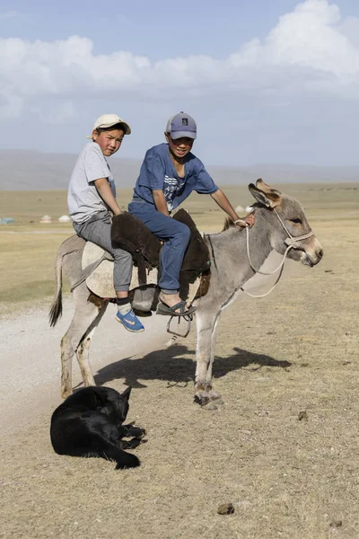 Song Kul Kyrgyzstán Srpen 2018 Dva Chlapce Osla Jezera Song — Stock fotografie