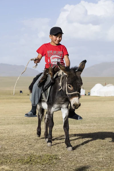 Song Kul Kyrgyzstán Srpen 2018 Chlapec Červené Tričko Jezdí Osel — Stock fotografie