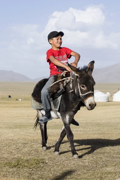 Song Kul Kyrgyzstán Srpen 2018 Chlapec Červené Tričko Jezdí Osel — Stock fotografie