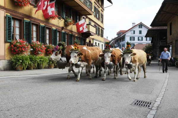 Sumiswald, İsviçre, 14 Eylül 2018: Köy içinde geçit töreni Sumiswald Bern dağ sonbahar tören sığır sürücüden kentinde vadiler mera