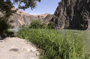 Çarın nehir Çarın Kanyonu içinde akar ve verimli kıyı suları ile sağlar. Kanyon kaleler Vadisi olarak da adlandırılır ve Kazakistan'ın Almatı doğusunda yer alır.