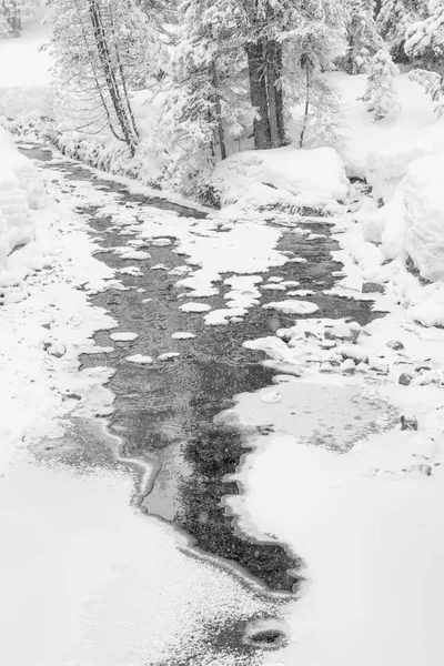 High-key winterlandschap met sparren en een stroom in de uitlopers van Zwitserland — Stockfoto