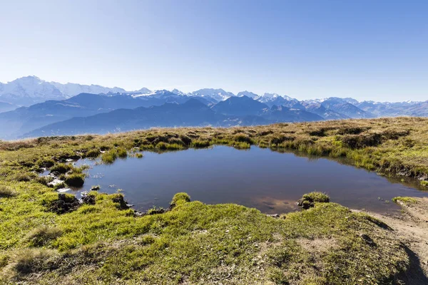 Φθινοπωρινό τοπίο σχετικά με το Niederhorn με μια λιμνούλα στο προσκήνιο και των Άλπεων στο παρασκήνιο για μια όμορφη φθινοπωρινή μέρα στην Ελβετία — Φωτογραφία Αρχείου