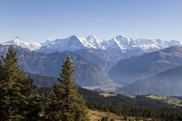 Autumn alpine landscape on the Niederhorn in the Bernese Oberland in Switzerland with Eiger, Moench and Jungfrau in the background — Stock Photo, Image