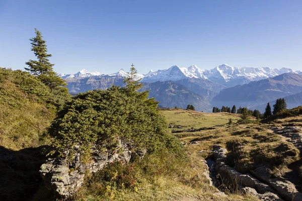 Jesienne alpejski krajobraz na Niederhorn w Oberlandzie Berneńskim w Szwajcarii z Eiger, Moench i Jungfrau w tle — Zdjęcie stockowe